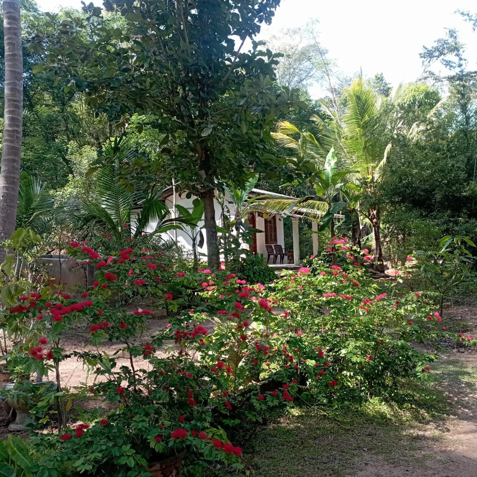 Sanjana Home Stay Habarana Exterior foto